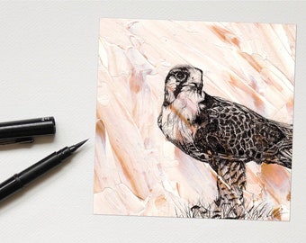 Sparrow hawk card - fine art bird of prey card
