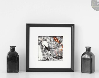 Mute Swan Giclée Print, mounted wall art