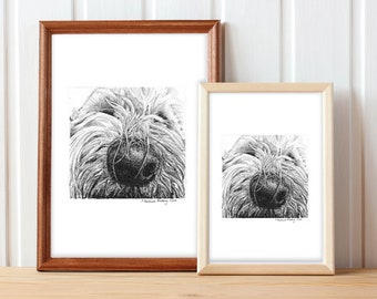 labradoodle gifts