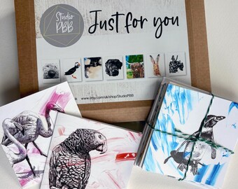 Bird Thank You Cards Gift Set | Boxed Pack of 10 Illustrated Bird Art Cards with Envelopes | Stationery Gift for Bird Lovers