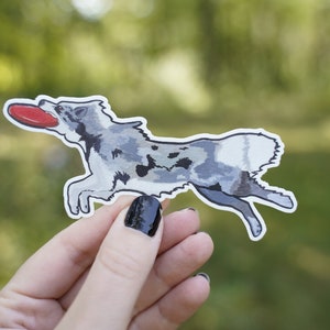 Border Collie Dog Sport Frisbee Disc 4" Die Cut Vinyl Sticker Decal: Durable Matte-Finish Active