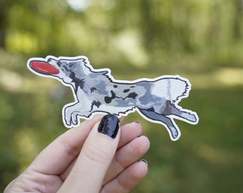 Border Collie Frisbee Dog Sticker: Waterproof Vinyl Decal