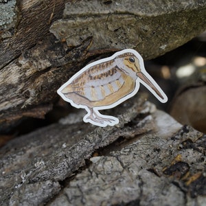 Woodcock 3&quot; or 4” Die Cut Vinyl Sticker Decal: Durable Matte-Finish