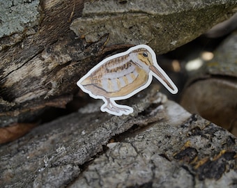 Woodcock 3" or 4” Die Cut Vinyl Sticker Decal: Durable Matte-Finish