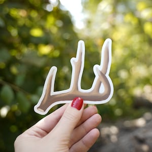 Shed Antler Whitetail Mule Deer 4&quot; Die Cut Vinyl Sticker Decal: Durable Matte-Finish Active