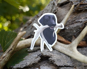 Black Lab Antler Shed Hunting Vinyl Sticker: Matte-Finish Decal