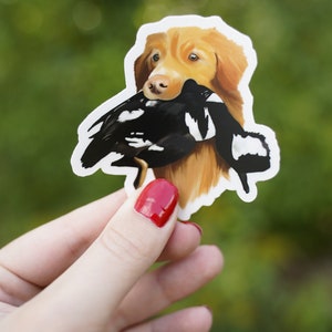 Nova Scotia Duck Tolling Retriever NSDTR Toller Duck Hunting Retrieving 3" Die Cut Vinyl Sticker Decal: Durable Matte-Finish