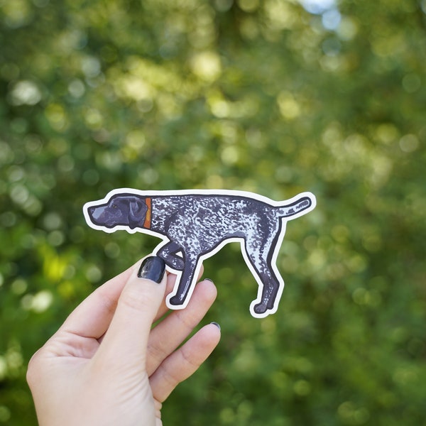 Black Roan German Shorthaired Pointer Dog Pointing Male or Female 5" Die Cut Vinyl Sticker Decal: Durable Matte-Finish