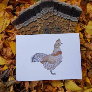 Ruffed Grouse Ganzkörper - Game Bird Grußkarte