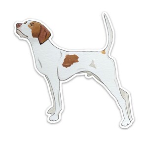 May include: Watercolor illustration of a Pointer dog. The dog is white with brown markings on its head and body. It is standing with its head up and tail curved. The artwork has a white border.
