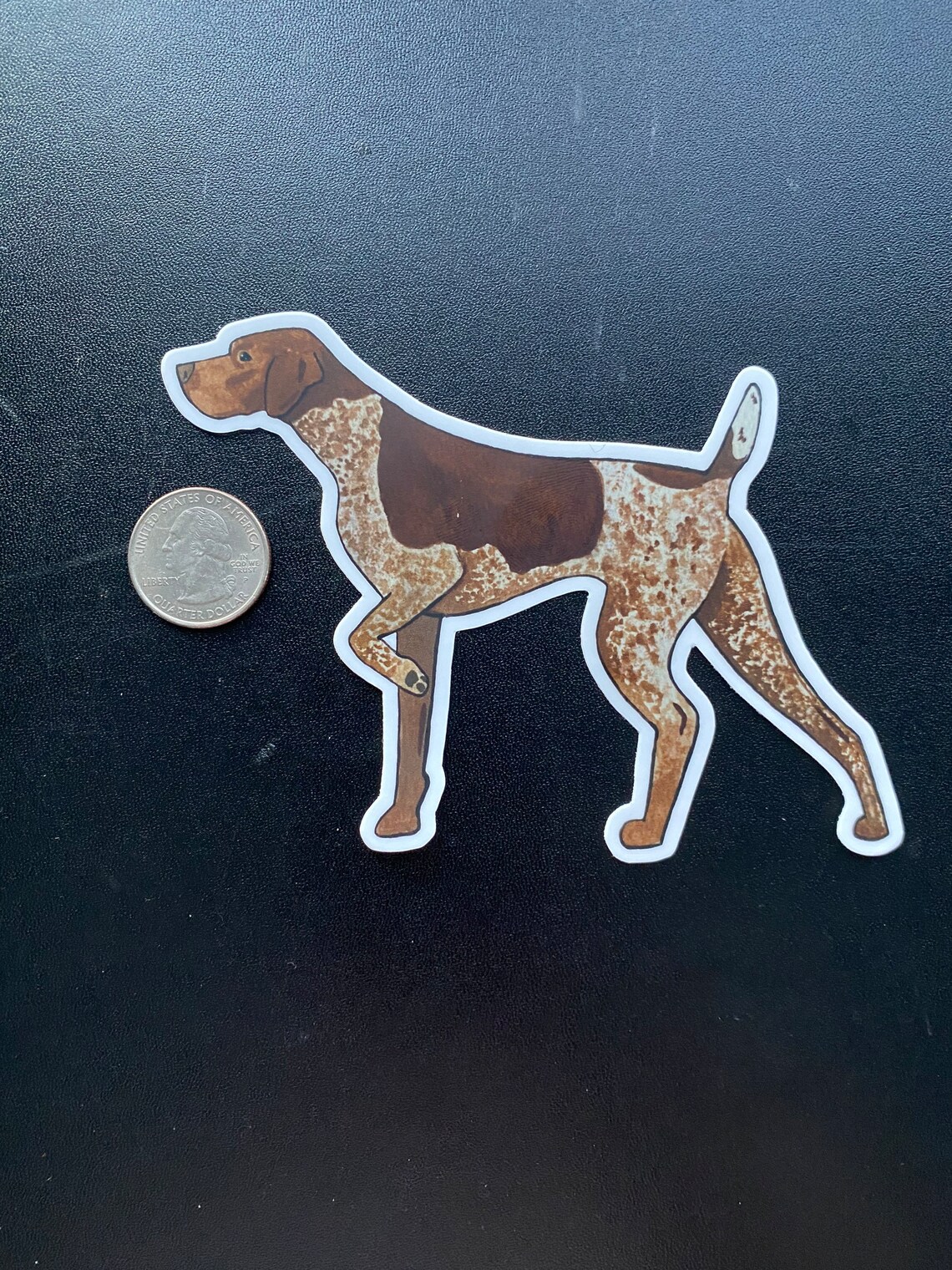 German Shorthaired Pointer Sticker: Liver Roan Dog Breed Vinyl Decal - Etsy