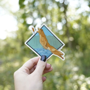 Op de afbeelding: Een sticker met een illustratie van een springende coyote. De coyote is afgebeeld in bruine en bruine tinten, tegen een blauwe en groene achtergrond. De sticker wordt tegen een vage groene achtergrond gehouden.