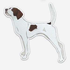 May include: A watercolor illustration of a Pointer dog. The dog is white with brown markings on its head and body. It is standing with its tail up and looking upwards.