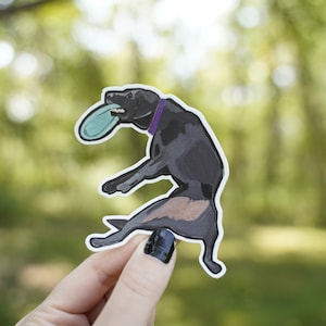 Labrador Retriever Disc Frisbee Fetch 3&quot; Die Cut Vinyl Sticker Decal: Durable Matte-Finish