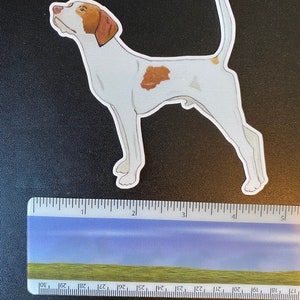 May include: A sticker of a Pointer dog in a standing pose. The dog is white with brown markings on its head and body. The sticker is approximately 4 inches long.