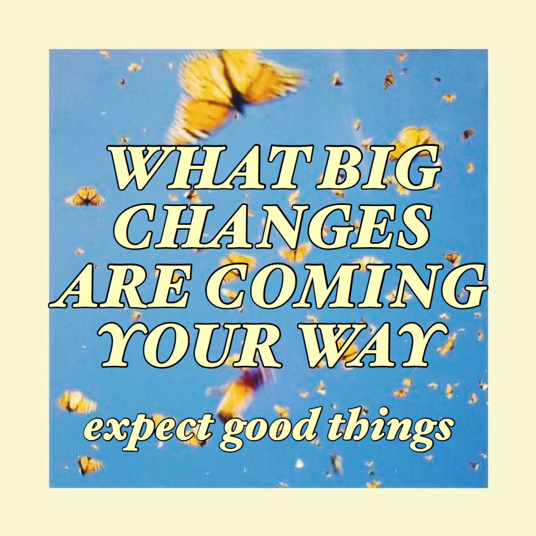 What Should You Be Expecting? - Positive Predictions, Quick Response,…