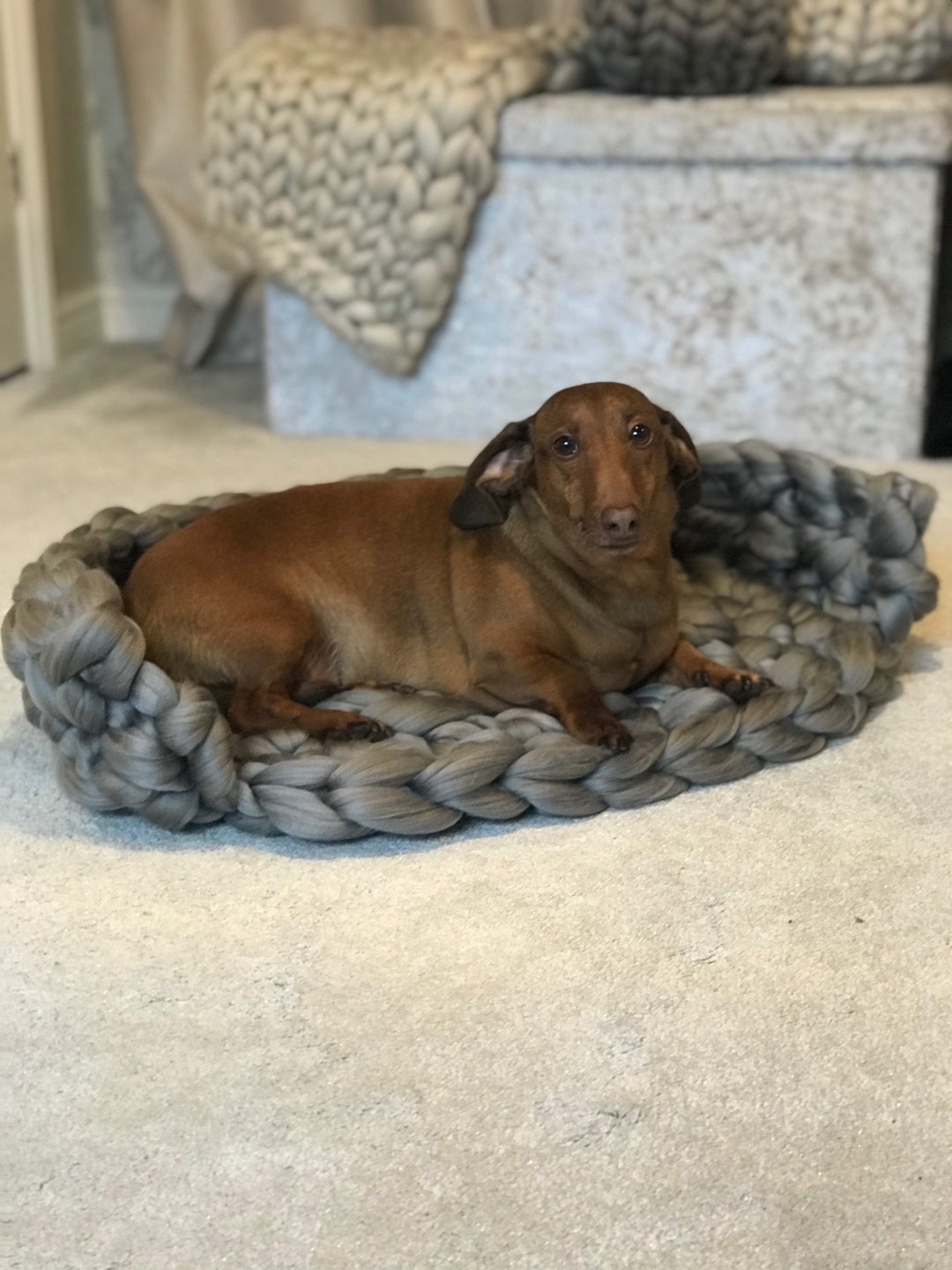 Chunky Knit Dog Bed/ Chunky Knitted Pet Bed/ Puppy Bed/ Rustic Etsy