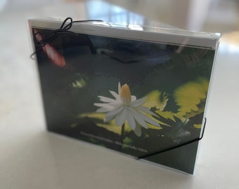 Light Series - Set of Eight (8) 5x7 All Occasion Note Cards w/Envelopes