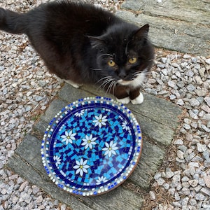 May include: A black and white cat with yellow eyes looks at the camera. The cat is standing on a wooden surface with a mosaic tile bird bath in front of it. The bird bath is blue and white with a floral design.