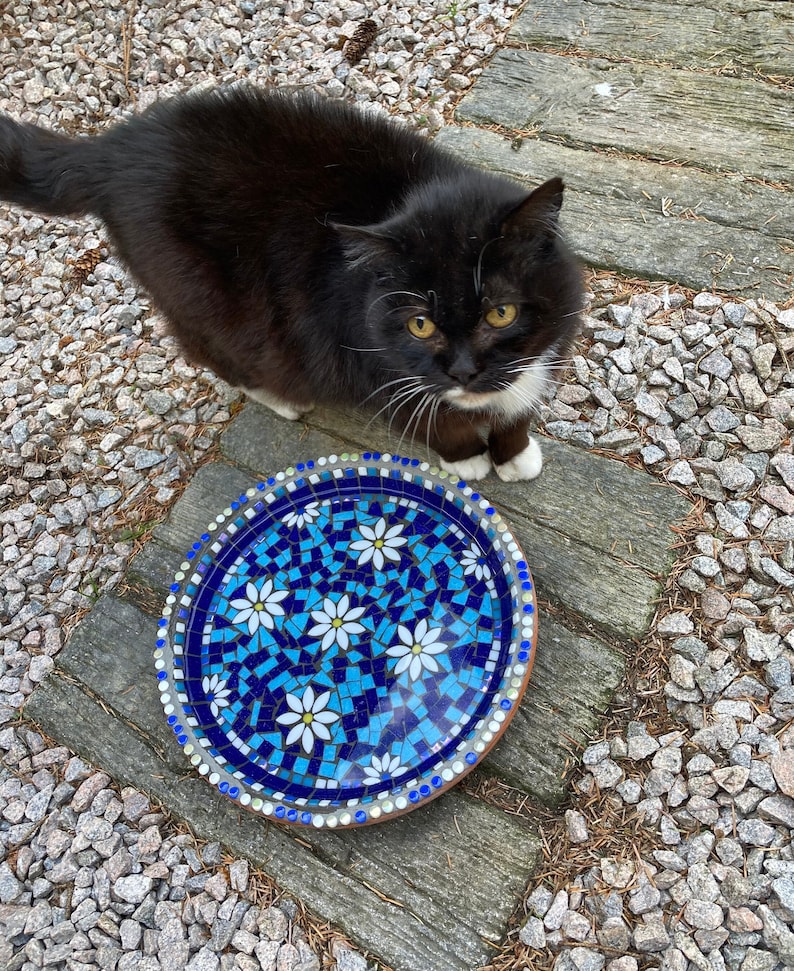 May include: A black and white cat with yellow eyes looks at the camera. The cat is standing on a wooden surface with a mosaic tile bird bath in front of it. The bird bath is blue and white with a floral design.