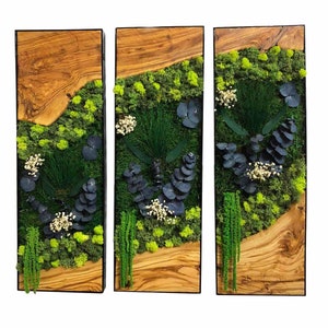 Preserved moss wall art, Plant wall art decor, Moss art wood