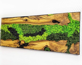 Preserved moss wall decoration Moss wall hanging