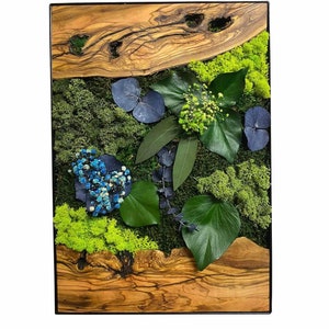 Live Moss Wall Art with Preserved Flowers – Botanical Greenery Decor – Nature Wall Hanging Gift