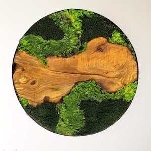 Puede incluir: Arte mural redondo con una pieza central de madera natural rodeada de musgo verde preservado. La madera es de color marrón claro y el musgo proporciona un vibrante contraste verde. La obra de arte está enmarcada en negro, creando una estética moderna y natural.