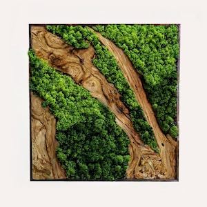 May include: Square wooden wall art featuring a natural design. The artwork combines vibrant green moss with sections of light brown wood, creating a textured, organic aesthetic. The wood grain is visible, adding depth to the piece.