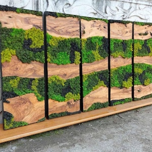 5 pcs Moss Wall Art READY TO SHIP Moss Wall Decor Preserved Moss Art Framed Moss Wall Set