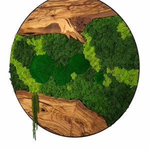 Moss and Olive Wood Wall Art – Preserved Moss Wall Panel – Rustic Botanical Wall Decor – Handmade Eco Nature Wall Hanging