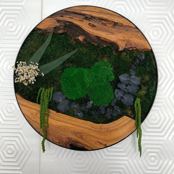 Circular moss wall art, Vertical garden