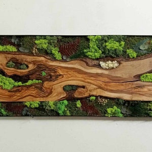 Large preserved moss wall art , Olive wood wall decor