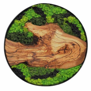 May include: A round wall art piece featuring a circular wooden slice with a natural wood grain pattern. The wood is surrounded by a ring of preserved green and black moss.