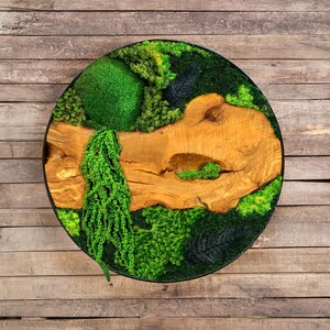 Moss and Wood Wall Art, Preserved Stabilized Moss Wall Art, Metal Frame Moss Wall Decor, Olive Wood and Moss Wall Decor
