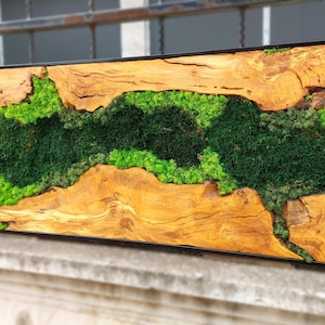Horizontal Moss Wall, Preserved Moss and Wood Wall Art, Plant Wall Decor, Minimalist Wall Art for Living Room, Framed Moss Wall Panel