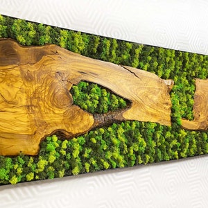 Moss wall garden art, Moss wall home decor, Olive wood wall art