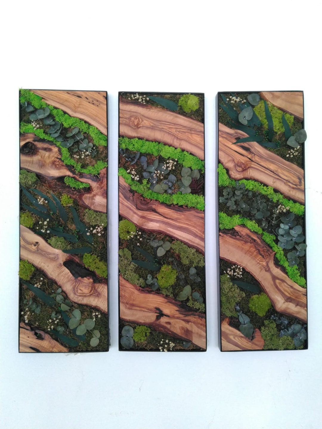 Moss Wall Art Preserved Ready to Ship Framed Art Natural Etsy
