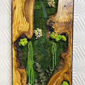 Wood moss wall art, Moss art wall decor, Preserved moss art