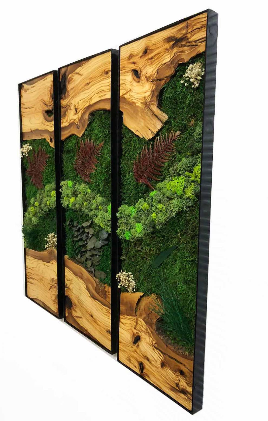 Image showcasing 3pcs Moss Wall Art Panels Live Edge Wood Art Vertical Garden Wall Decor ...