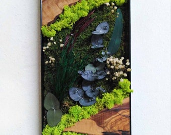 May include: A framed moss wall art piece with a wooden background. The moss is green and there are dried eucalyptus leaves and white flowers.