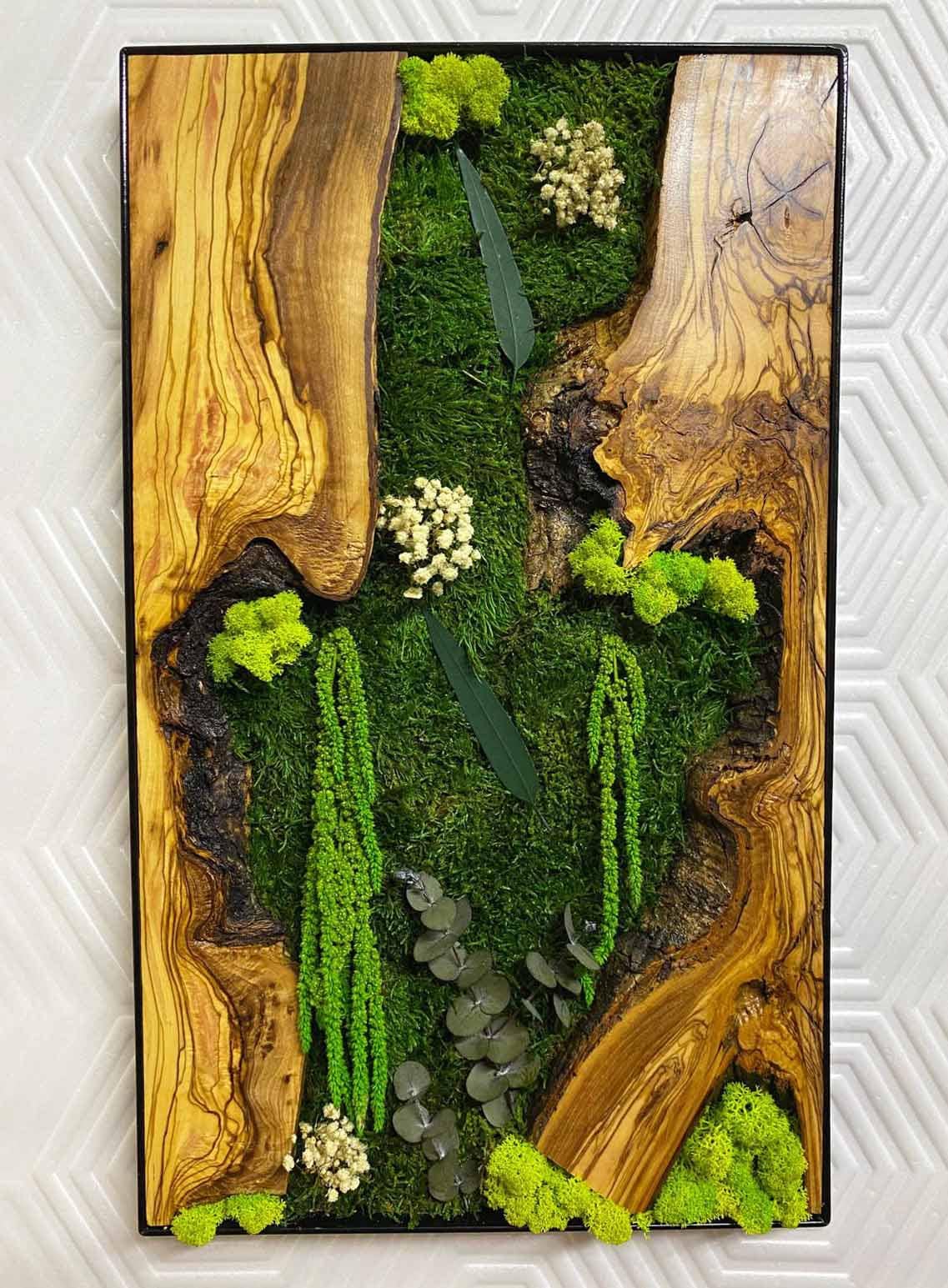 Panel de musgo verde natural 57x28,5cm para murales y paredes de musgo  natural - musgo-natural