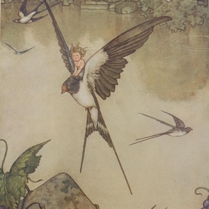 W Heath Robinson - stampa antica dal libro di fiabe di Hans Andersen, circa anni &#39;20. Tommelise, illustrazione aggiunta.