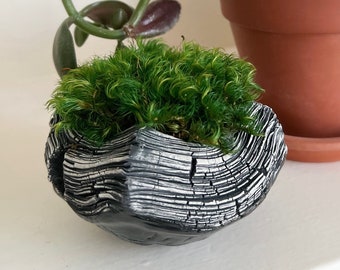 Ceramic moss bowl.