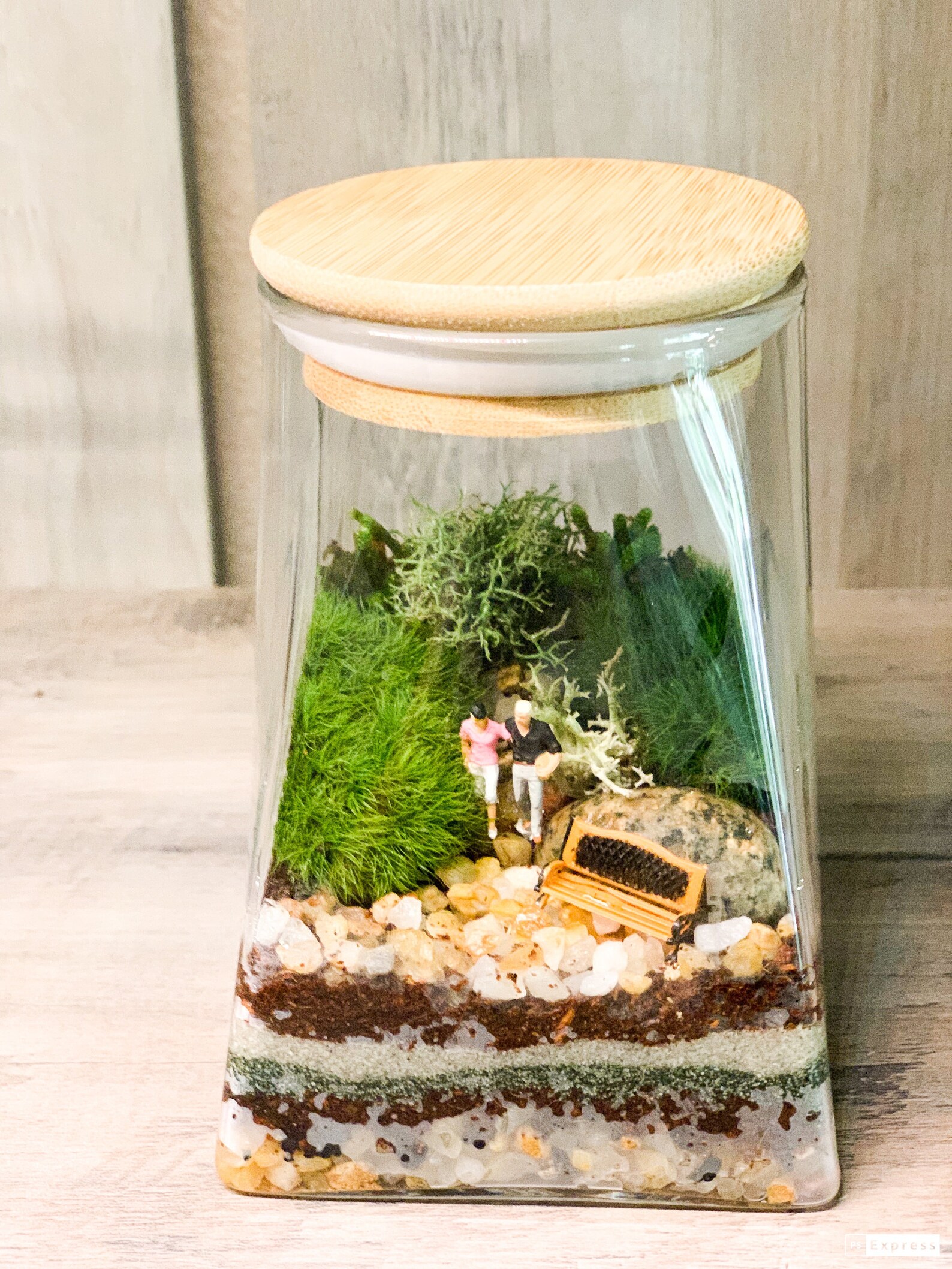 Mini terrarium in a jar with a bamboo airtight lid Etsy