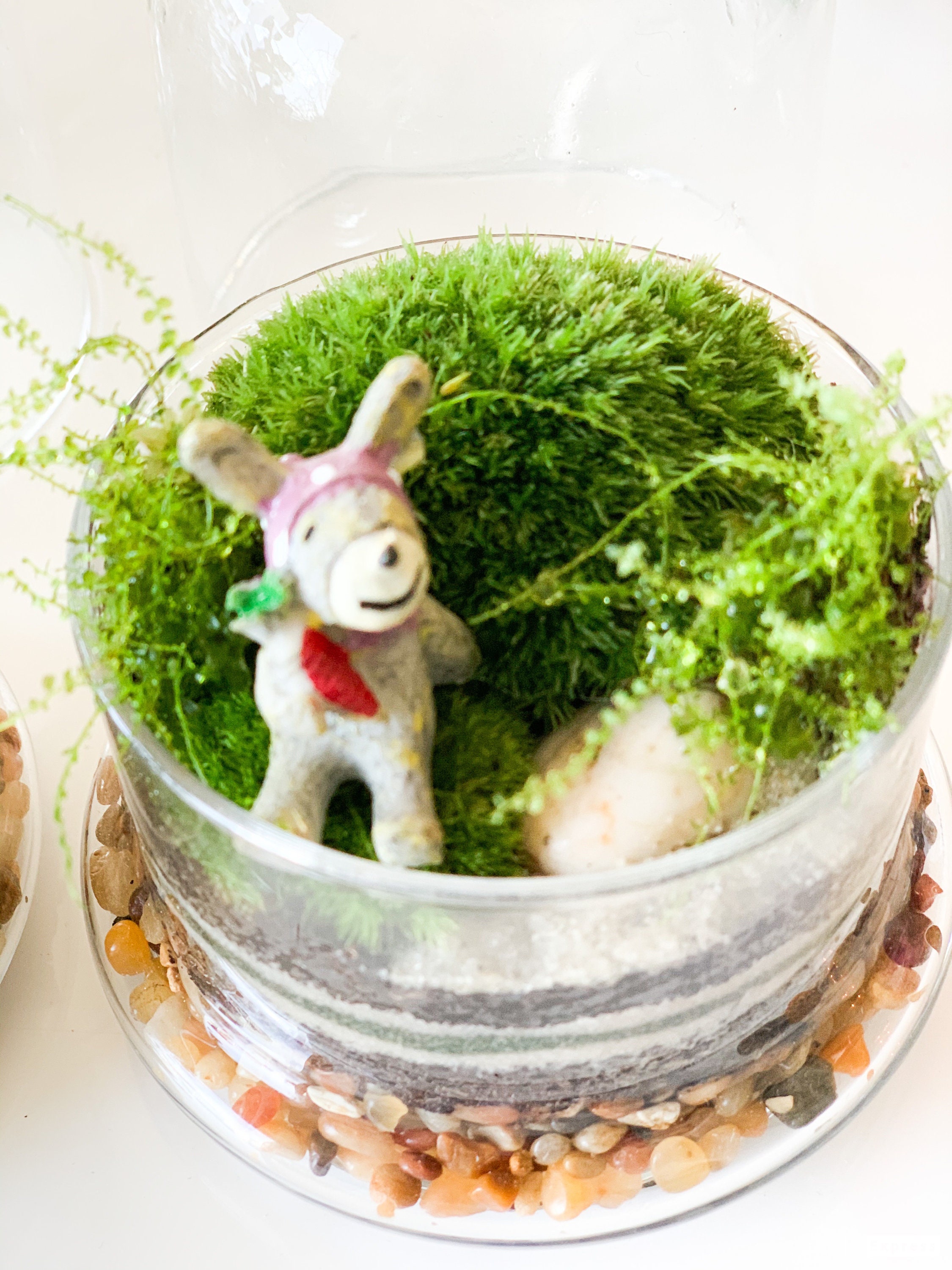 Mini terrarium. Good gift Etsy