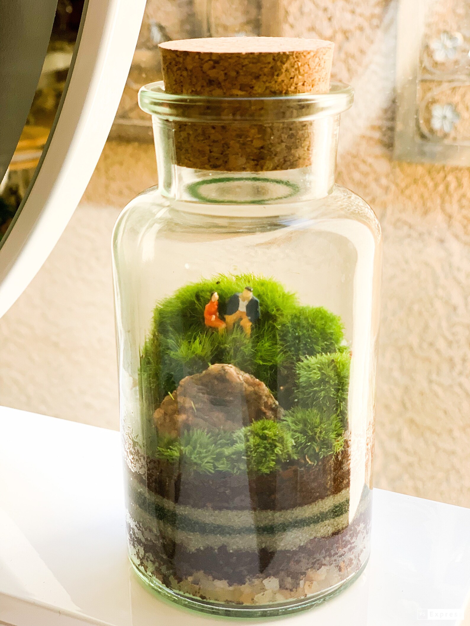 Terrarium en bouteille Figurines de couple Etsy