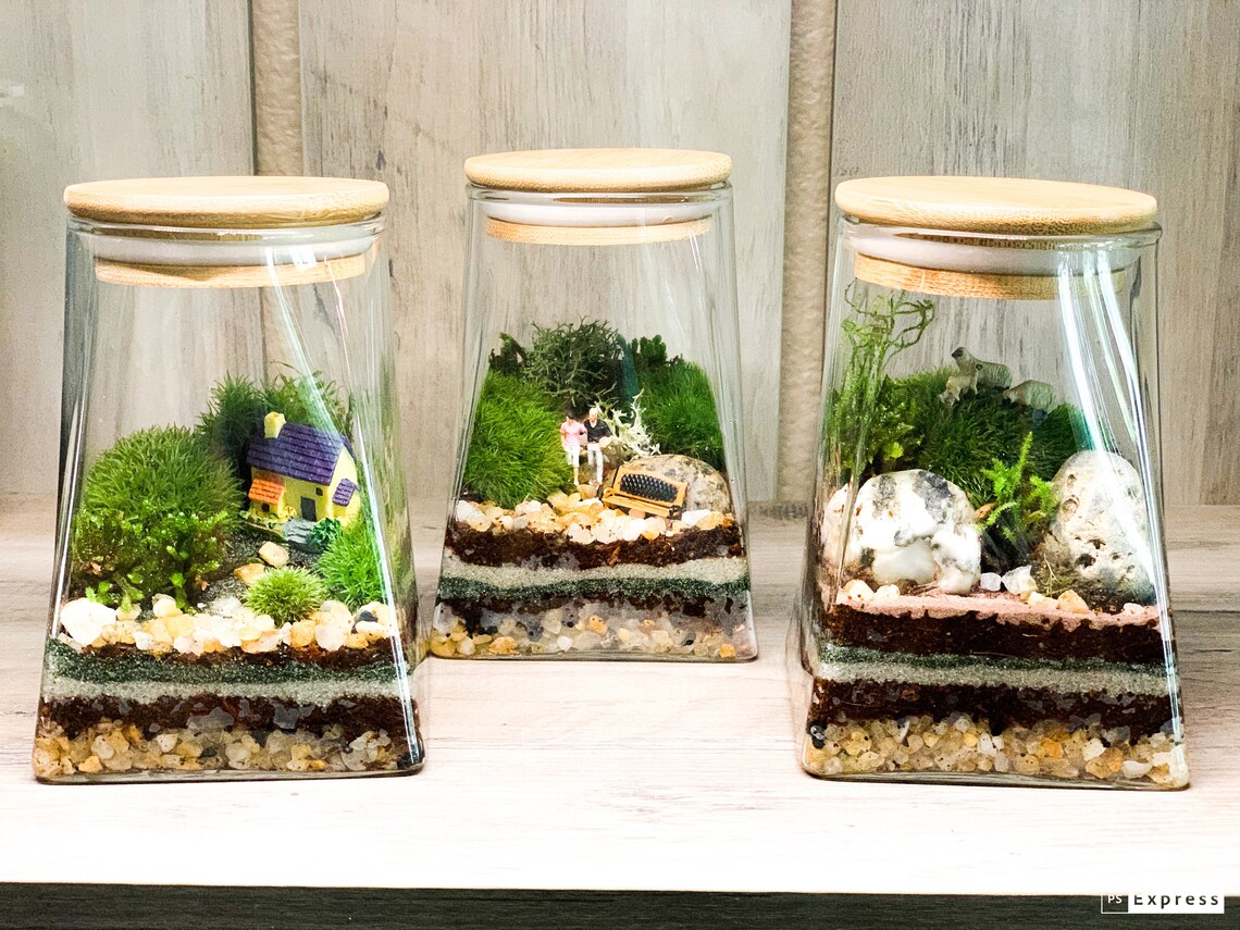 Mini terrarium in a jar with a bamboo airtight lid Etsy
