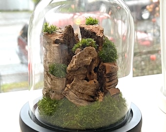May include: A small terrarium displayed under a glass dome. The miniature landscape includes textured rocks and bright green moss. The base is black, providing a stable foundation. The dome is clear, allowing a full view of the miniature garden.