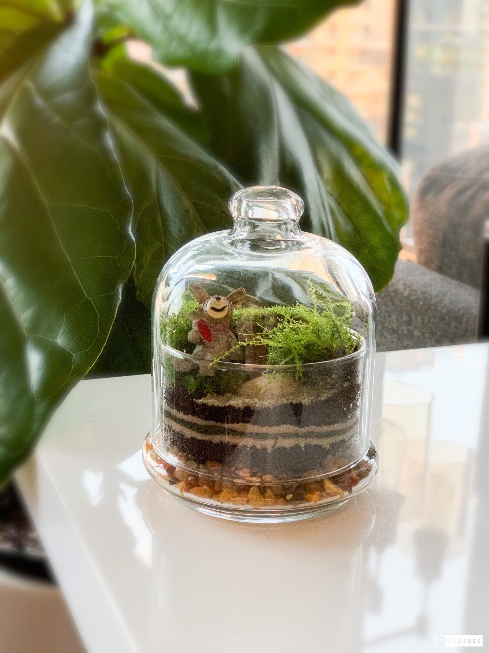 Mini terrarium. Good gift Etsy